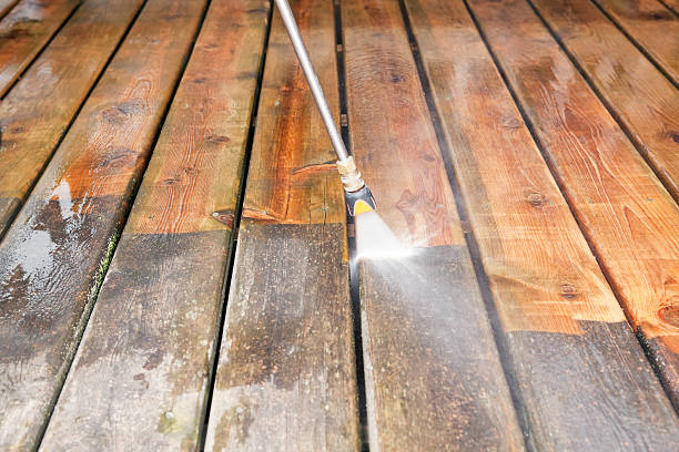 Best Sidewalk and Walkway Cleaning  in Lakeport, TX